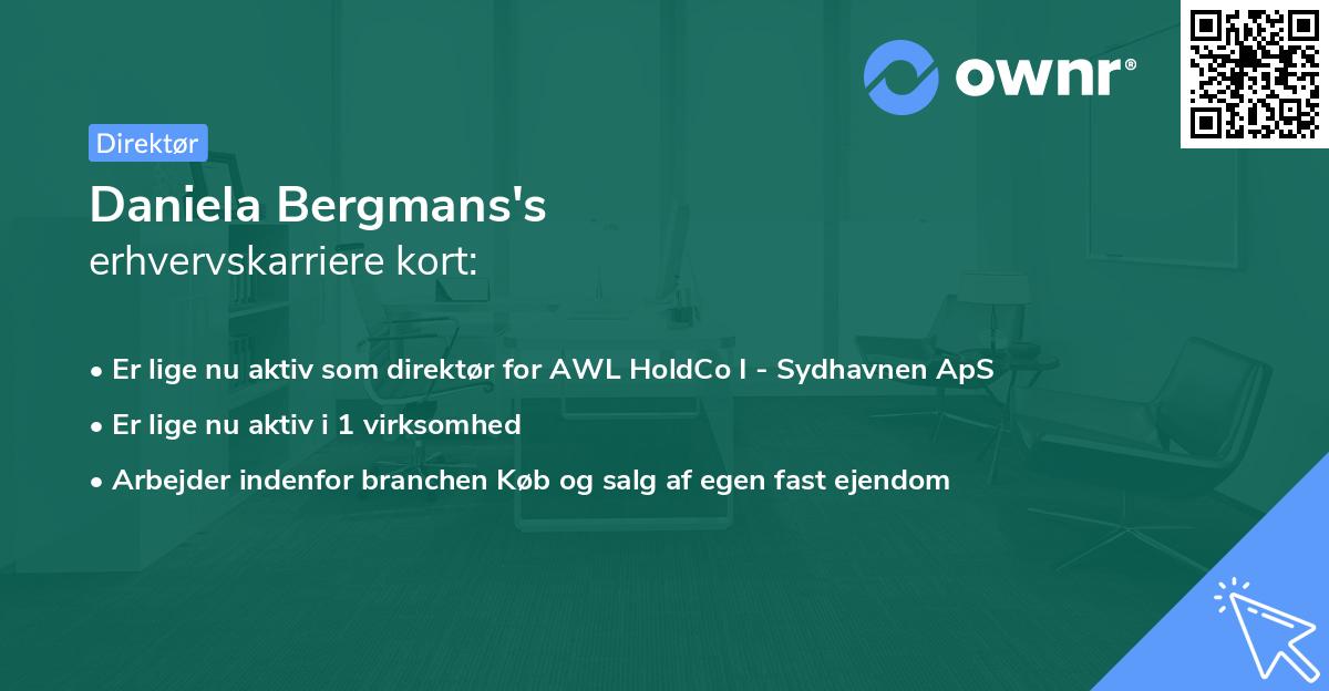 Daniela Bergmans's erhvervskarriere kort