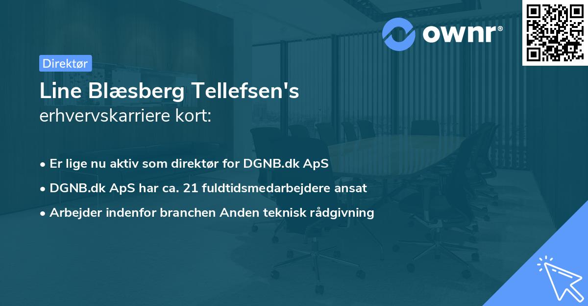 Line Blæsberg Tellefsen's erhvervskarriere kort
