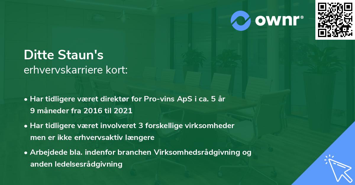 Ditte Staun's erhvervskarriere kort