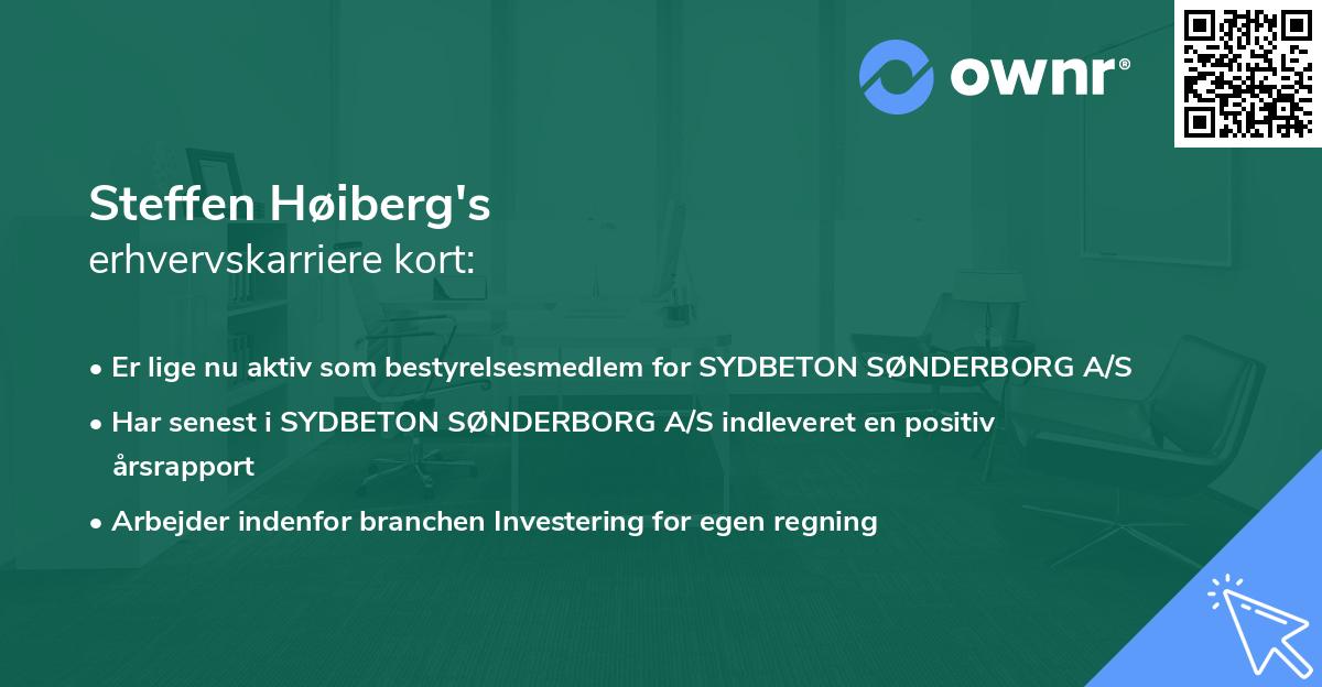 Steffen Høiberg's erhvervskarriere kort