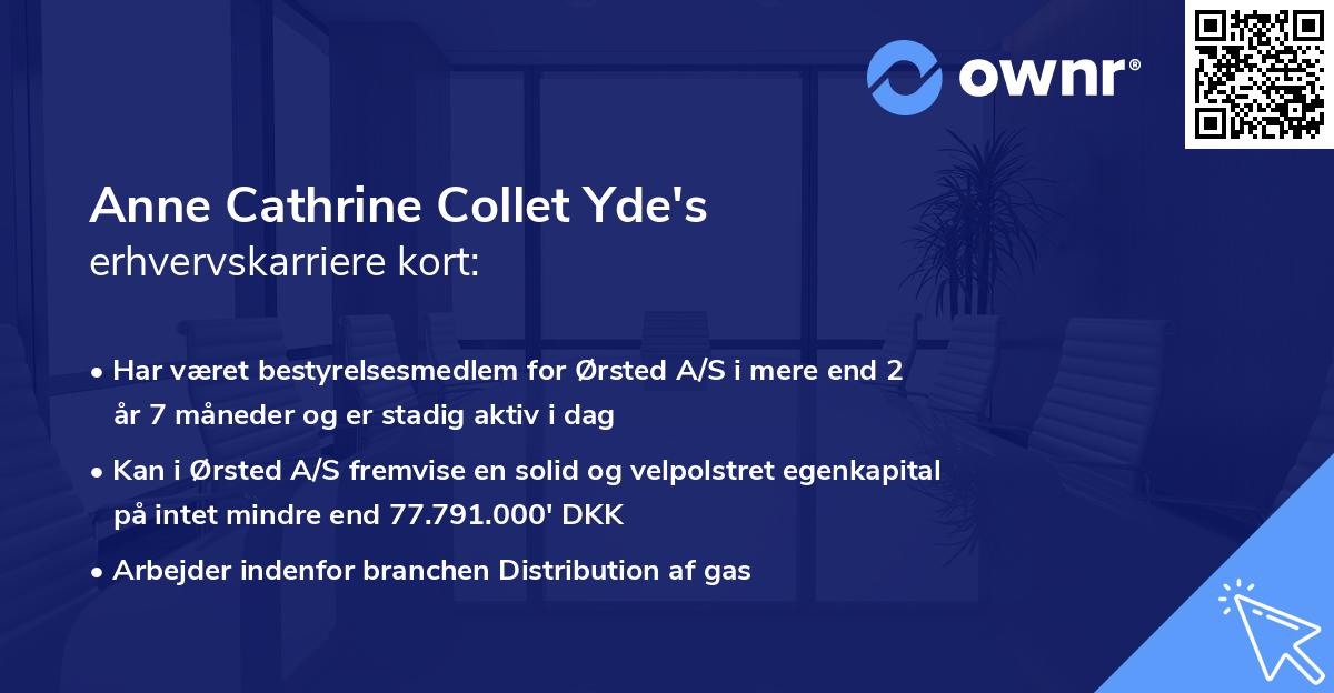 Anne Cathrine Collet Yde's erhvervskarriere kort