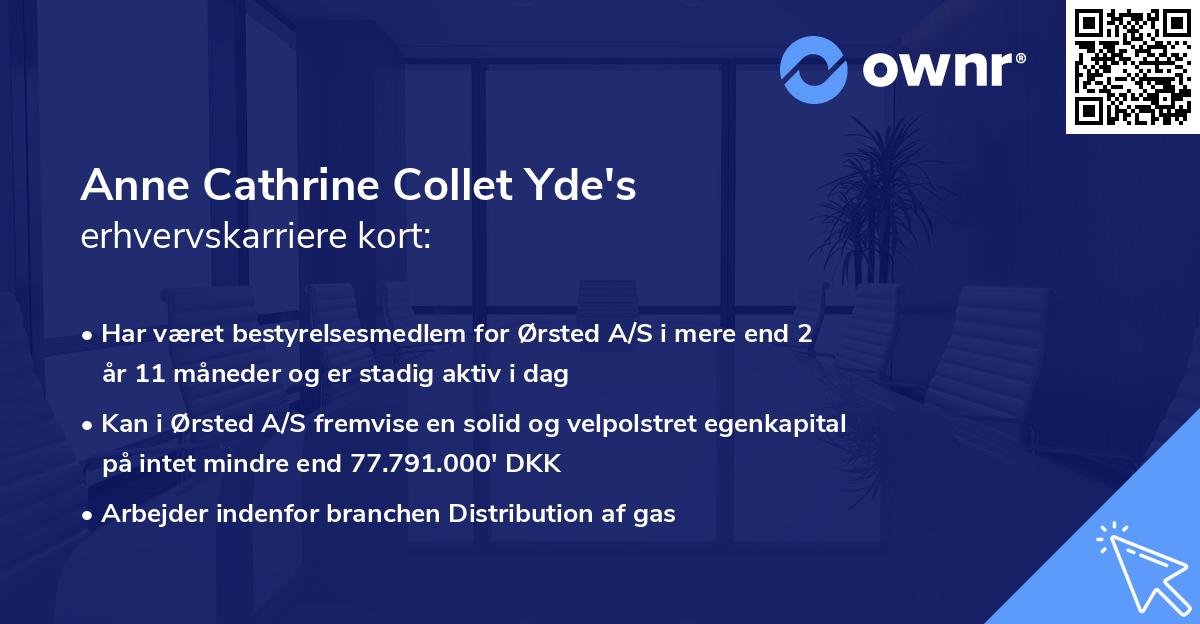 Anne Cathrine Collet Yde's erhvervskarriere kort