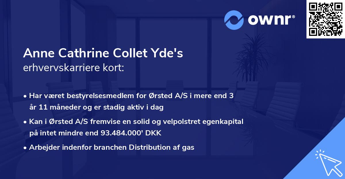 Anne Cathrine Collet Yde's erhvervskarriere kort