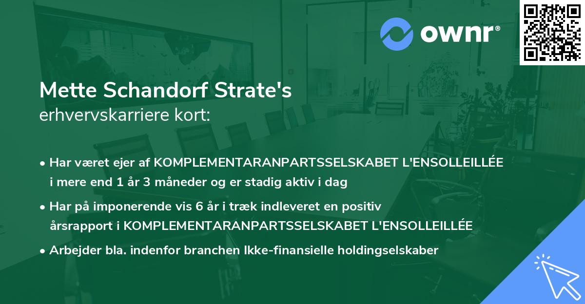 Mette Schandorf Strate's erhvervskarriere kort
