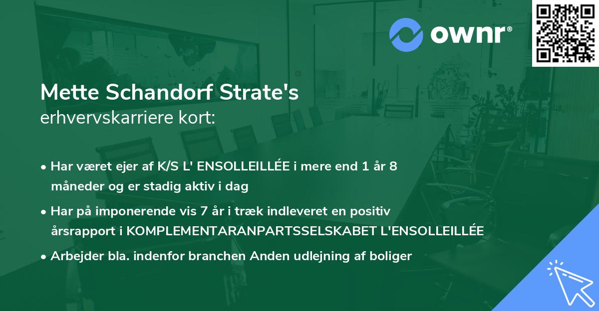 Mette Schandorf Strate's erhvervskarriere kort