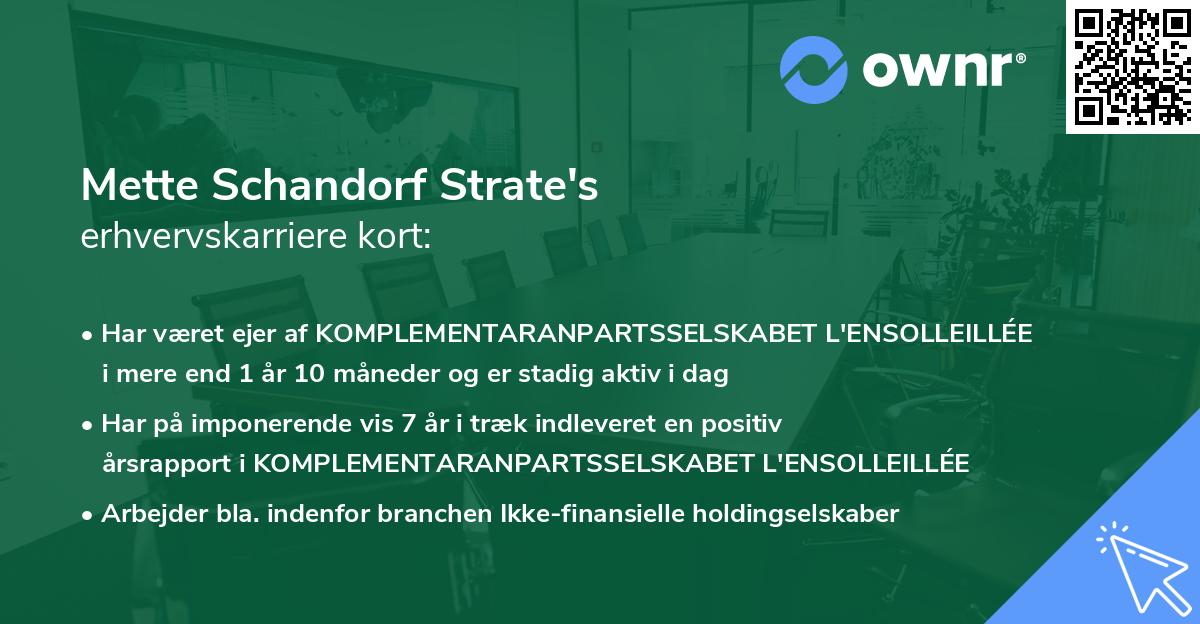 Mette Schandorf Strate's erhvervskarriere kort