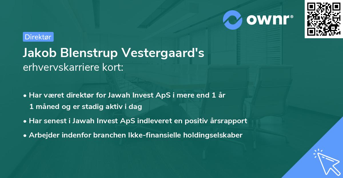 Jakob Blenstrup Vestergaard's erhvervskarriere kort