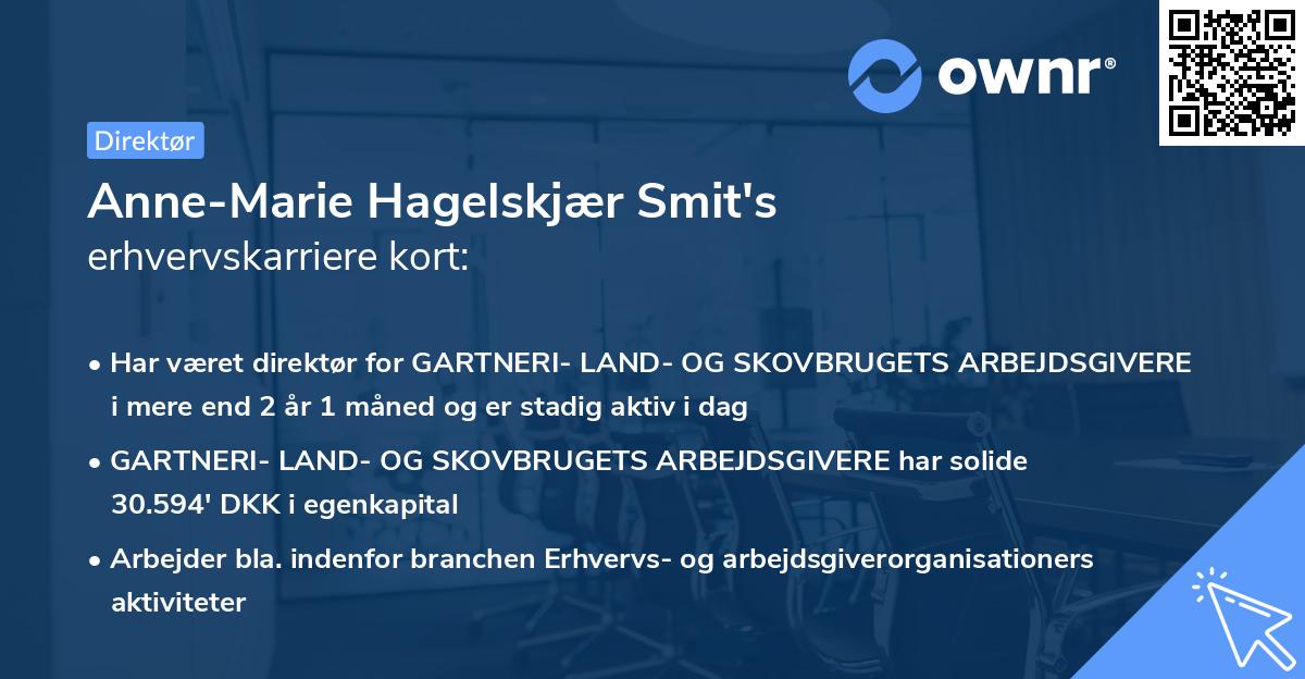 Anne-Marie Hagelskjær Smit's erhvervskarriere kort