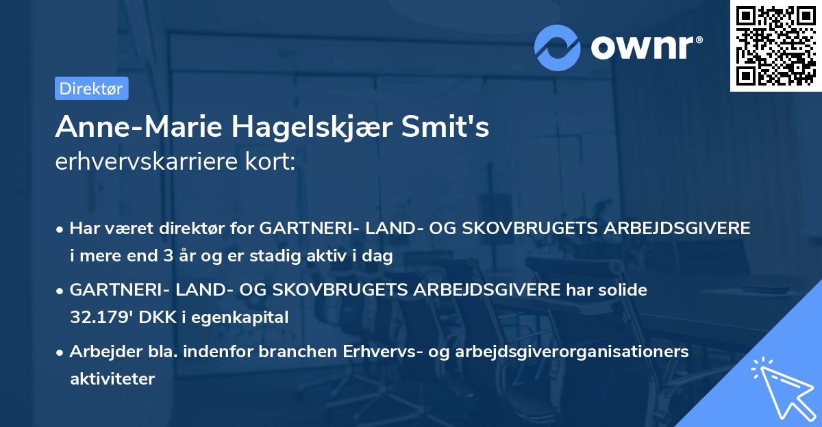 Anne-Marie Hagelskjær Smit's erhvervskarriere kort