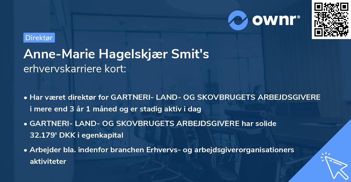 Anne-Marie Hagelskjær Smit's erhvervskarriere kort