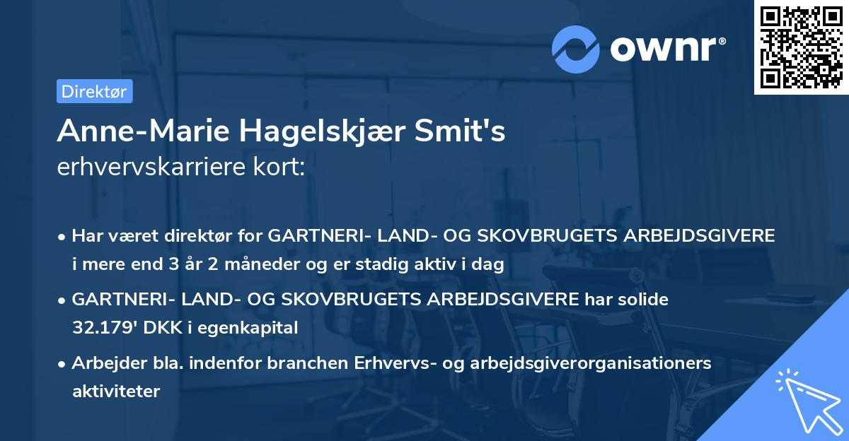Anne-Marie Hagelskjær Smit's erhvervskarriere kort