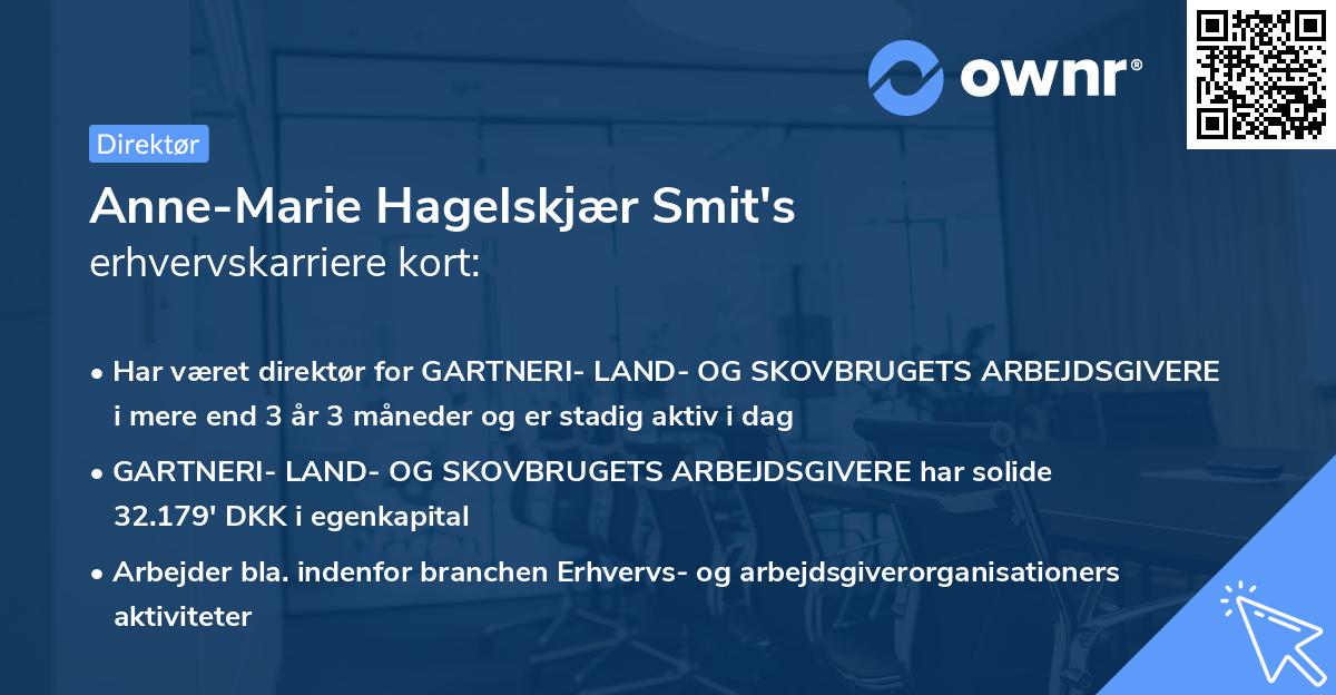 Anne-Marie Hagelskjær Smit's erhvervskarriere kort