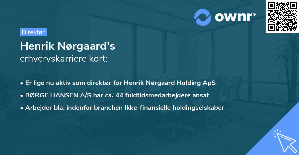 Henrik Nørgaard's erhvervskarriere kort