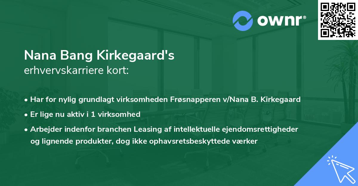 Nana Bang Kirkegaard's erhvervskarriere kort