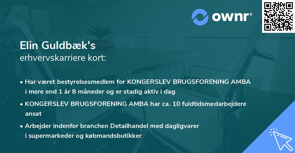 Elin Guldbæk's erhvervskarriere kort