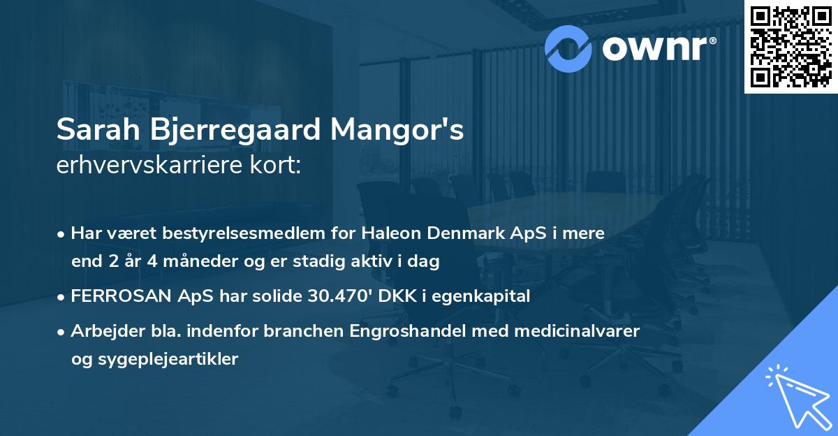 Sarah Bjerregaard Mangor's erhvervskarriere kort