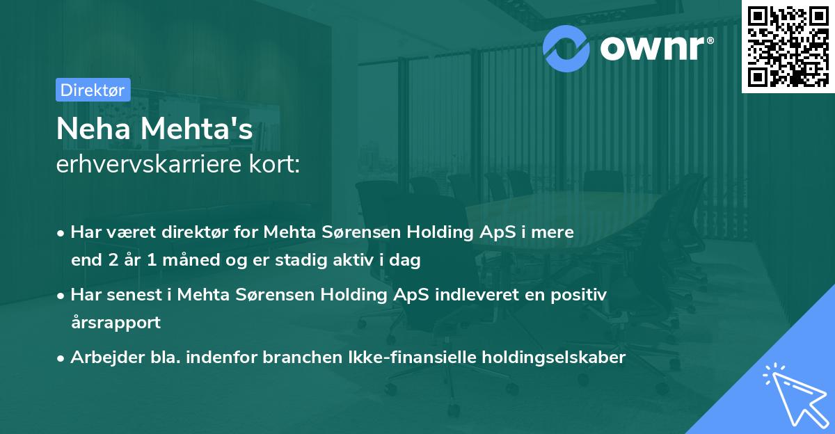 Neha Mehta's erhvervskarriere kort