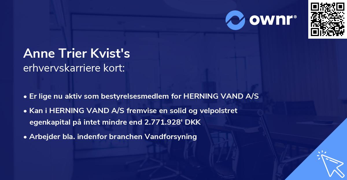 Anne Trier Kvist's erhvervskarriere kort