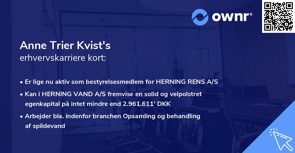 Anne Trier Kvist's erhvervskarriere kort