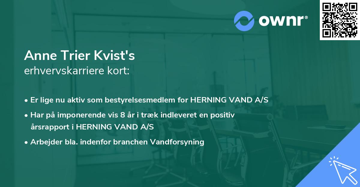 Anne Trier Kvist's erhvervskarriere kort