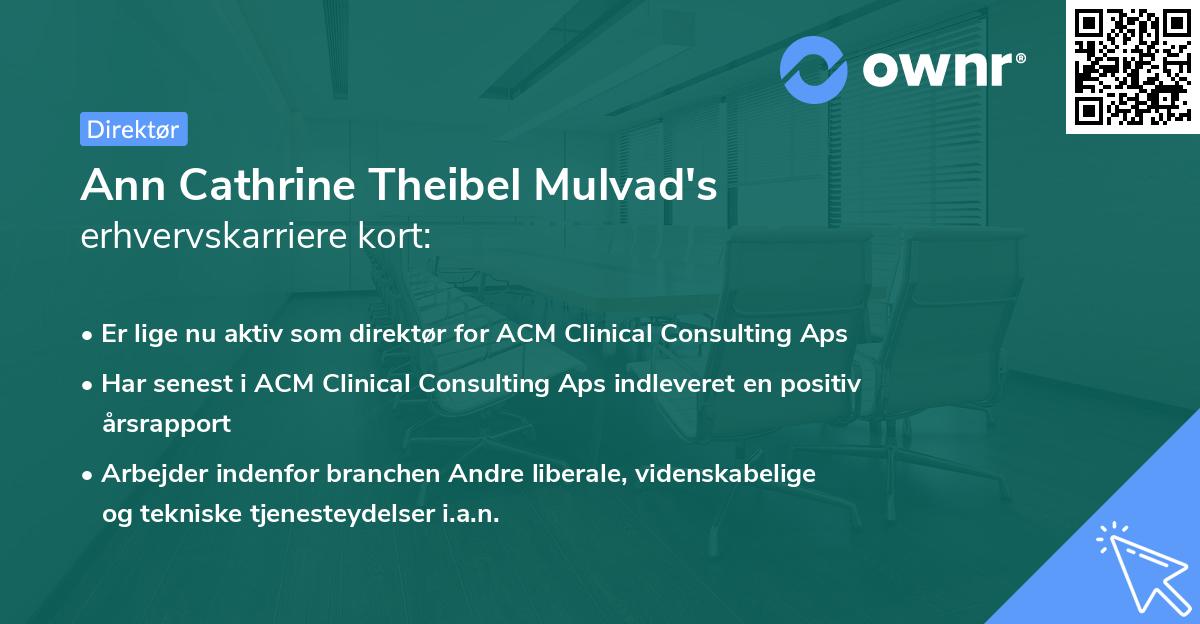 Ann Cathrine Theibel Mulvad's erhvervskarriere kort