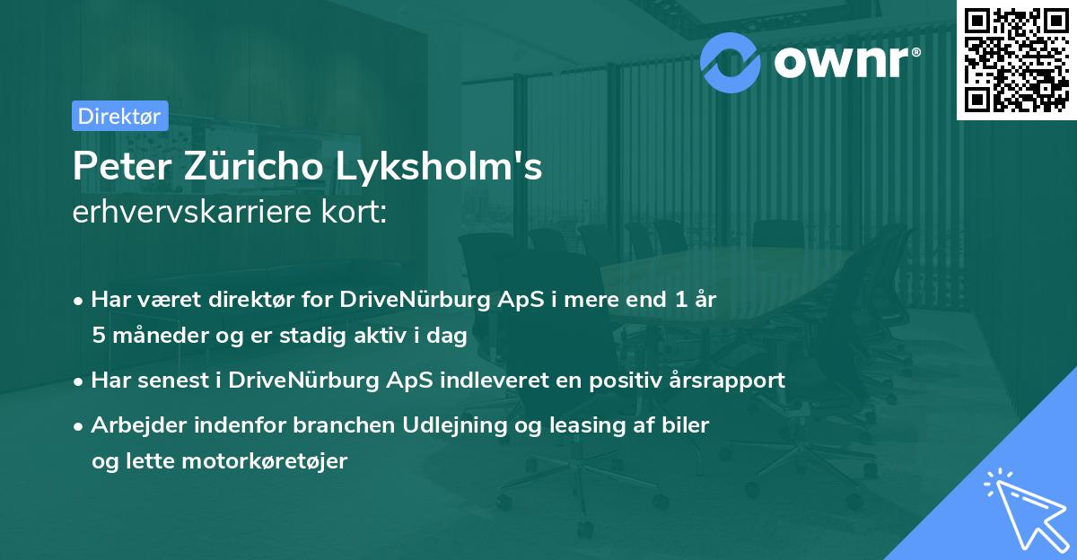 Peter Züricho Lyksholm's erhvervskarriere kort