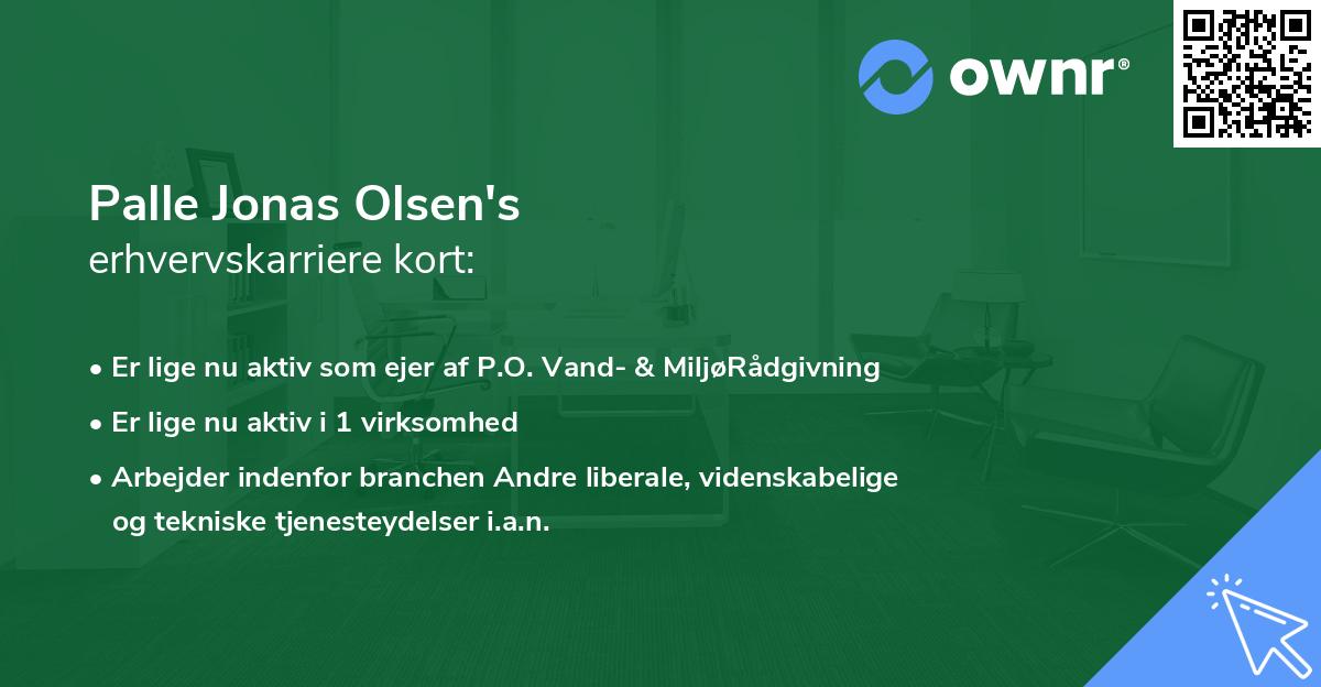 Palle Jonas Olsen's erhvervskarriere kort