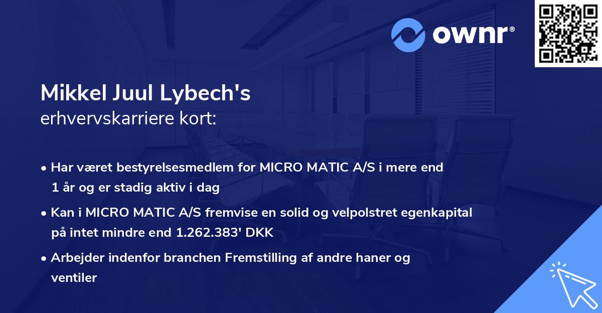 Mikkel Juul Lybech's erhvervskarriere kort