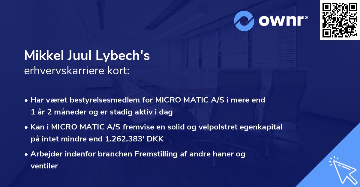 Mikkel Juul Lybech's erhvervskarriere kort