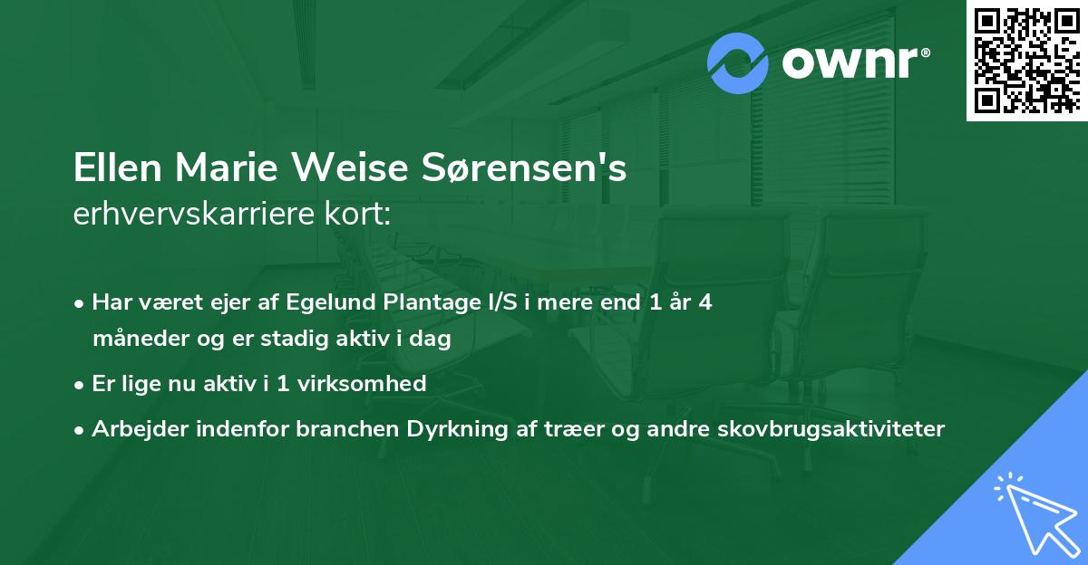 Ellen Marie Weise Sørensen's erhvervskarriere kort