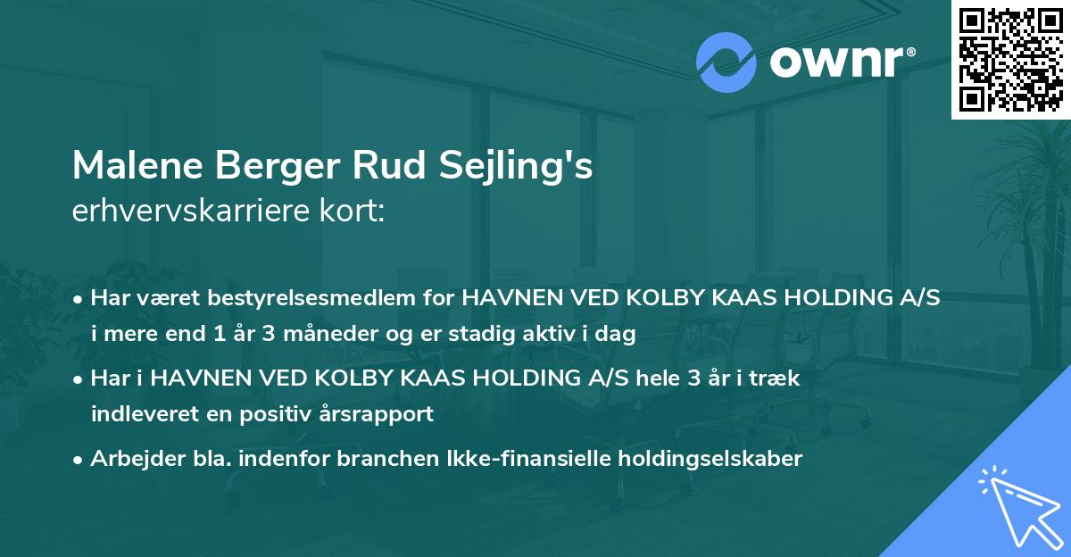 Malene Berger Rud Sejling's erhvervskarriere kort