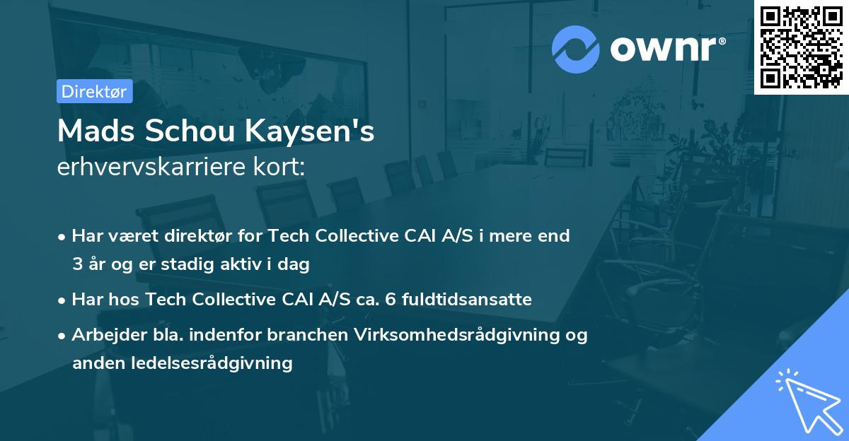 Mads Schou Kaysen's erhvervskarriere kort