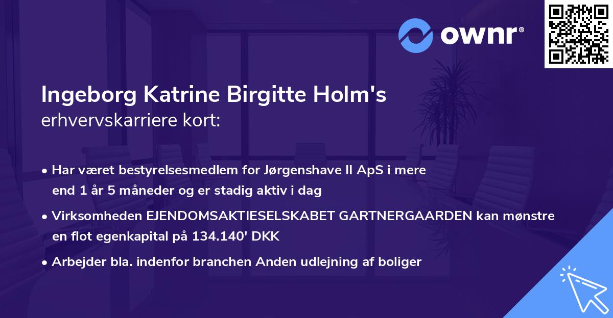 Ingeborg Katrine Birgitte Holm's erhvervskarriere kort