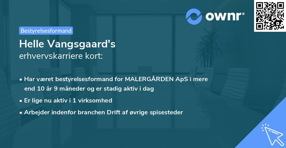 Helle Vangsgaard's erhvervskarriere kort