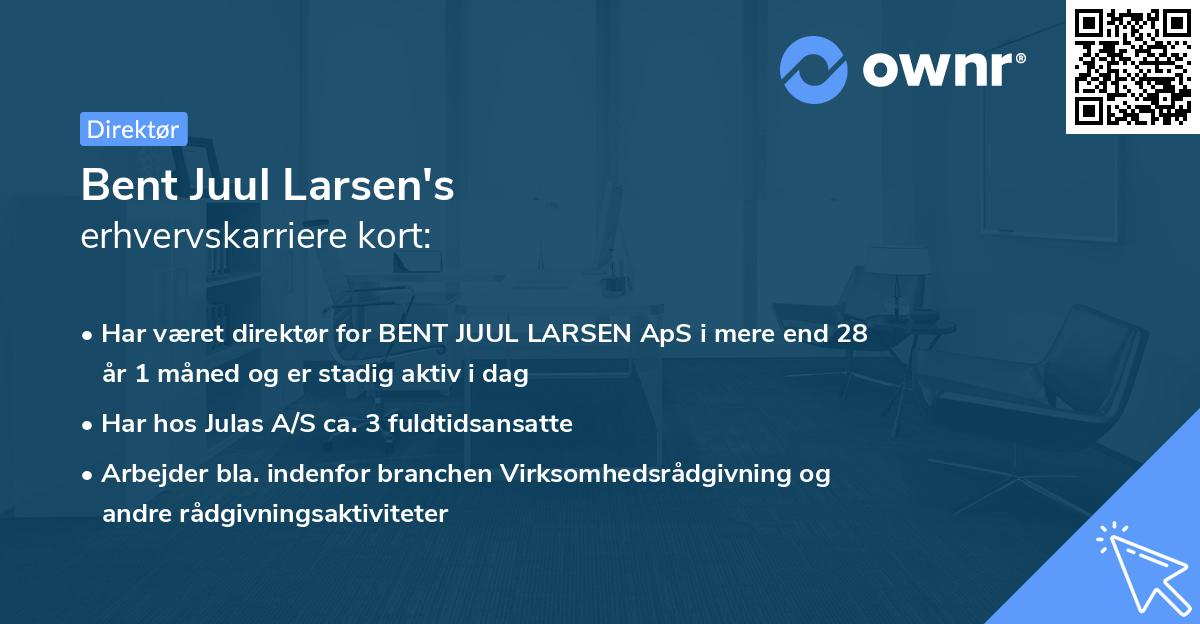 Bent Juul Larsen's erhvervskarriere kort