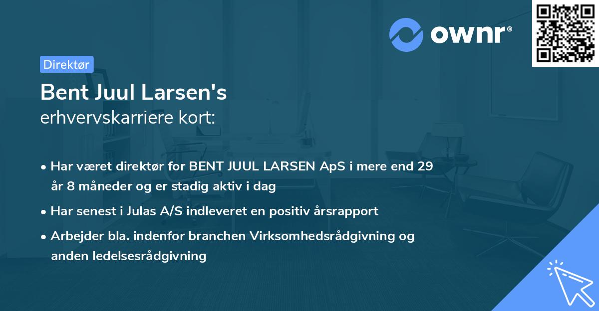 Bent Juul Larsen's erhvervskarriere kort