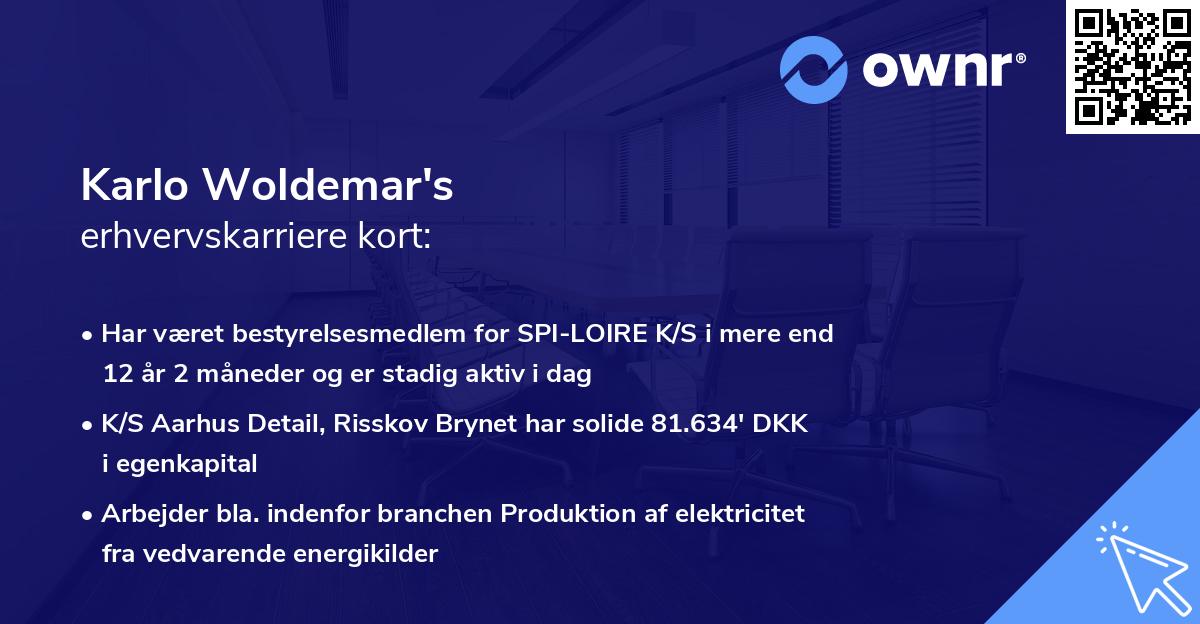 Karlo Woldemar's erhvervskarriere kort