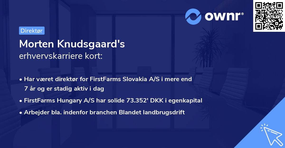 Morten Knudsgaard's erhvervskarriere kort
