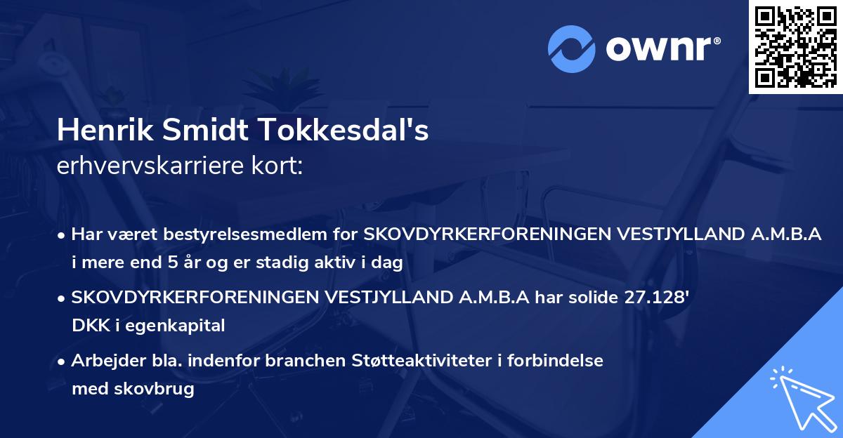 Henrik Smidt Tokkesdal's erhvervskarriere kort