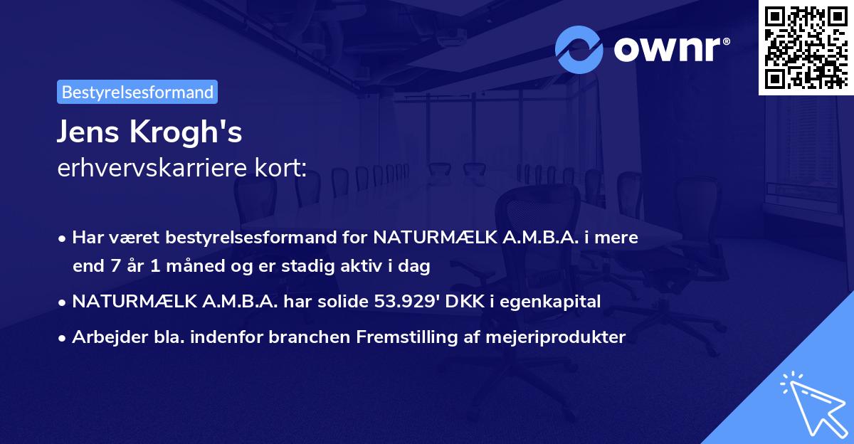 Jens Krogh's erhvervskarriere kort