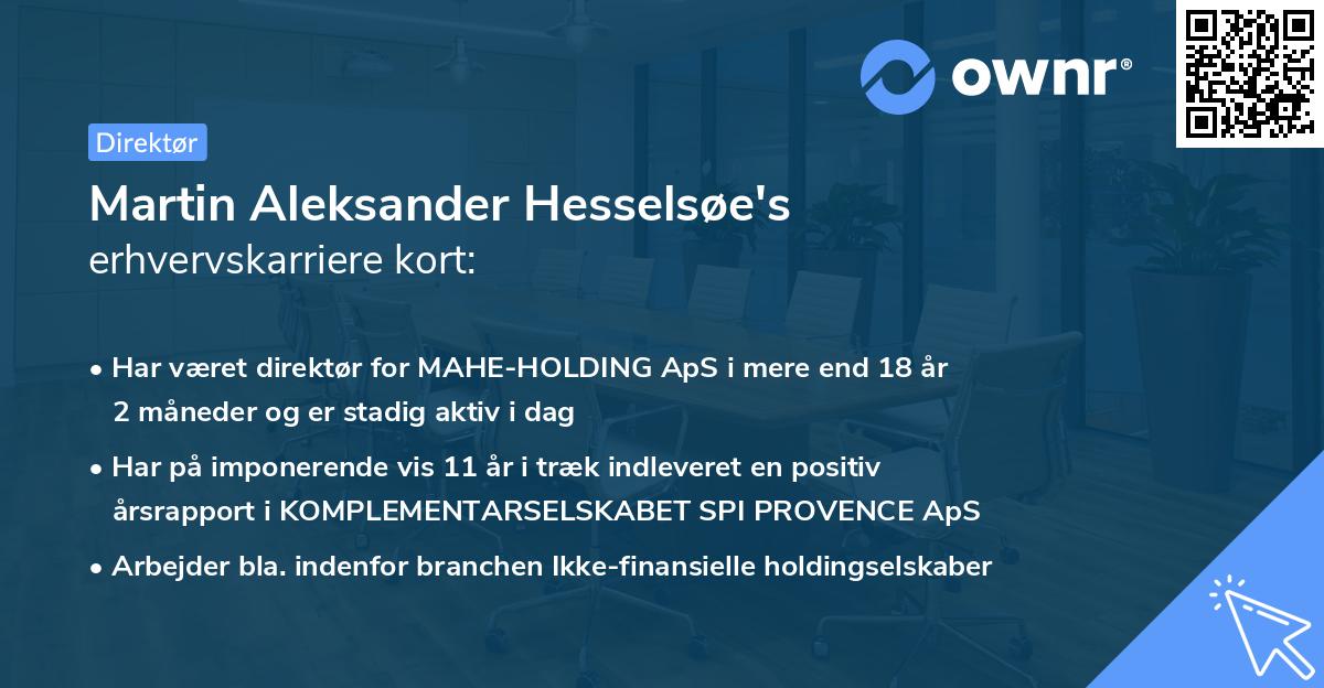 Martin Aleksander Hesselsøe's erhvervskarriere kort