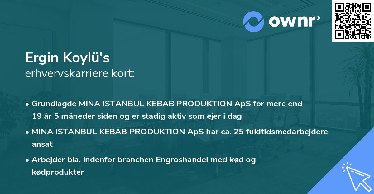 Ergin Koylü's erhvervskarriere kort