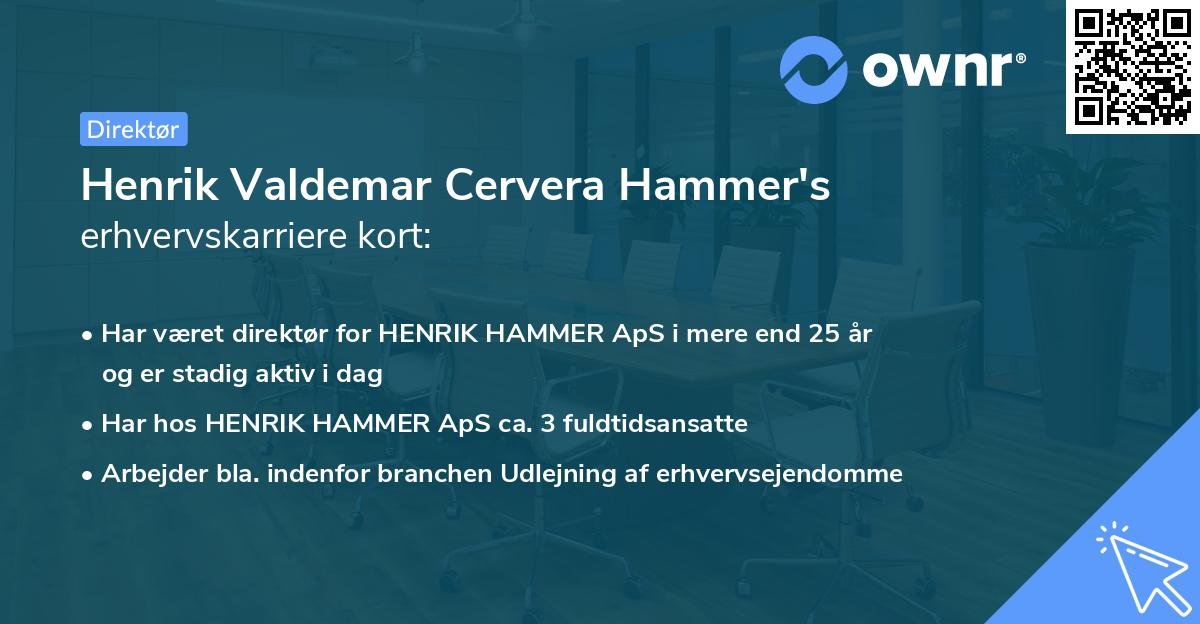 Henrik Valdemar Cervera Hammer's erhvervskarriere kort