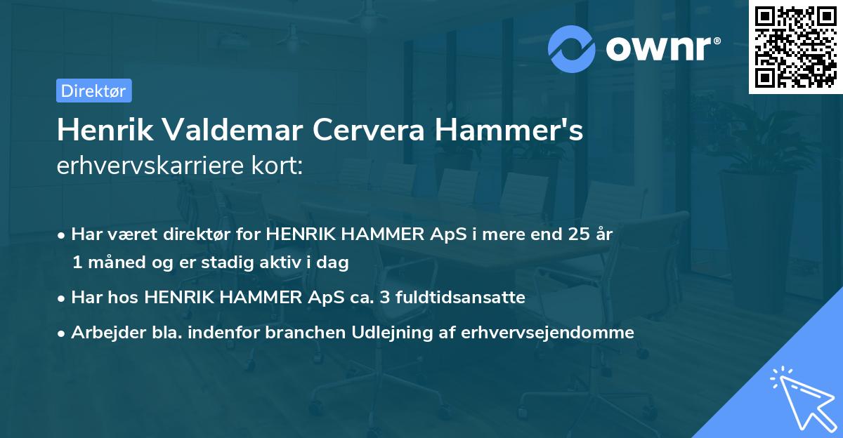 Henrik Valdemar Cervera Hammer's erhvervskarriere kort