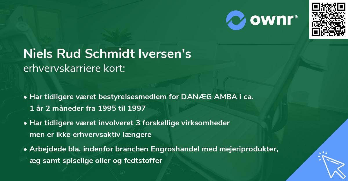 Niels Rud Schmidt Iversen's erhvervskarriere kort