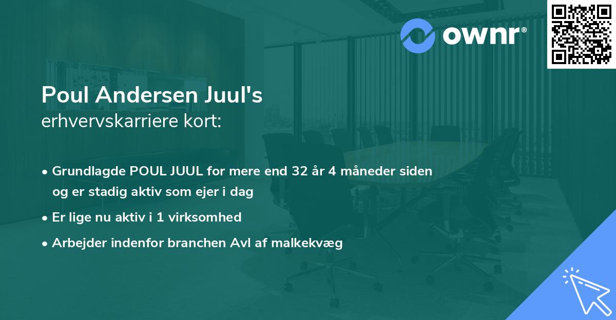Poul Andersen Juul's erhvervskarriere kort