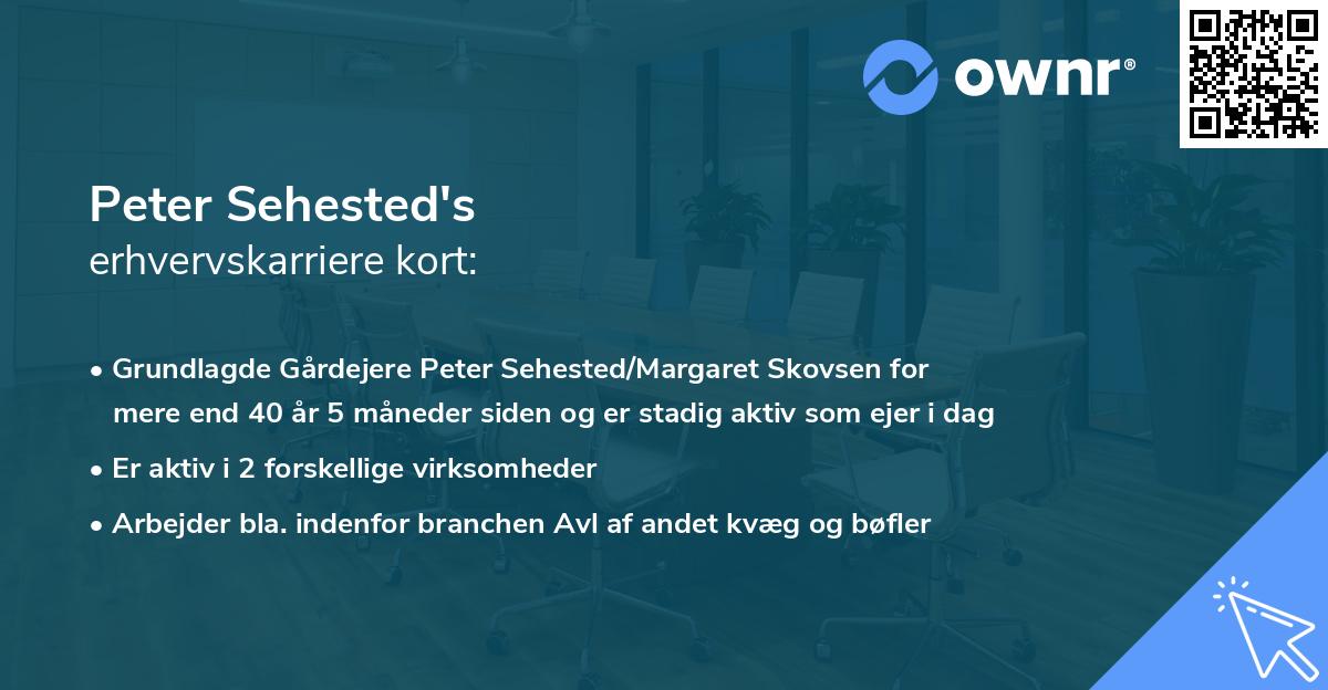 Peter Sehested's erhvervskarriere kort