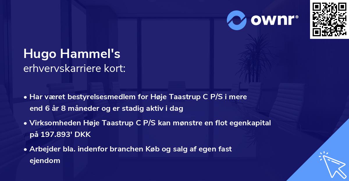 Hugo Hammel's erhvervskarriere kort