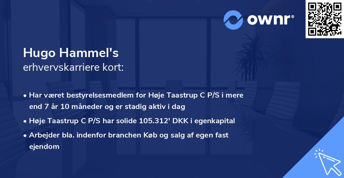 Hugo Hammel's erhvervskarriere kort