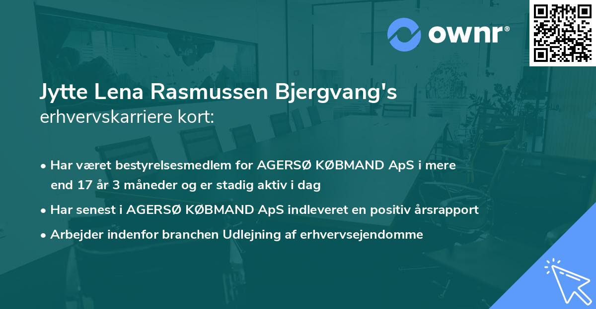 Jytte Lena Rasmussen Bjergvang's erhvervskarriere kort